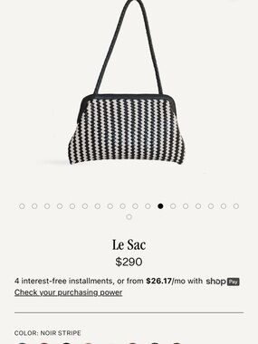 Bembien Le Sac Woven Shoulder Bag NWOT